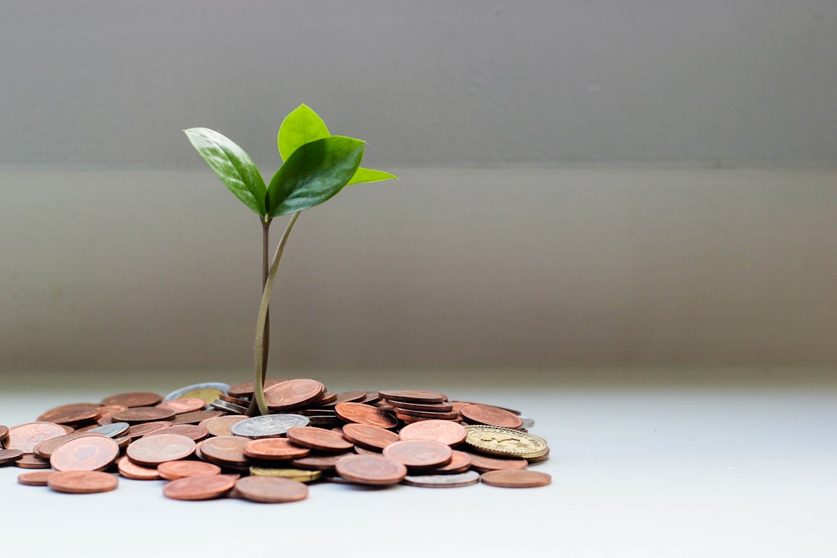 Piggy bank with coins